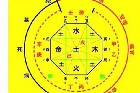 命理五行查詢|生辰八字算命、五行喜用神查詢（免費測算）